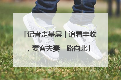 记者走基层｜追着丰收，麦客夫妻一路向北
