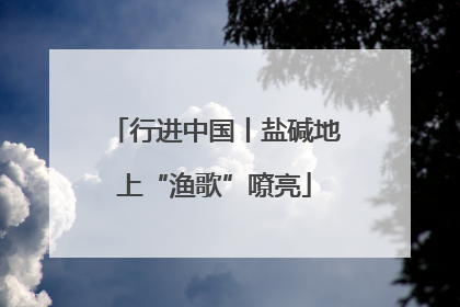 行进中国丨盐碱地上“渔歌”嘹亮