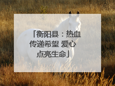 衡阳县：热血传递希望 爱心点亮生命