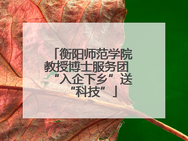 衡阳师范学院教授博士服务团“入企下乡”送“科技”