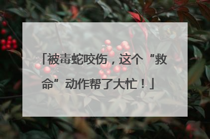被毒蛇咬伤，这个“救命”动作帮了大忙！
