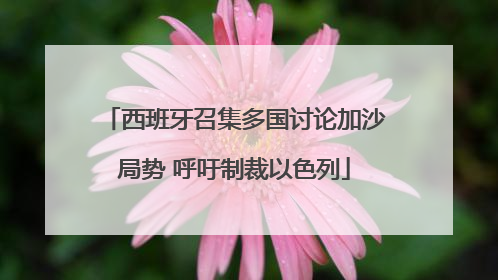 西班牙召集多国讨论加沙局势 呼吁制裁以色列