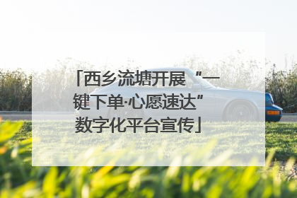 西乡流塘开展“一键下单·心愿速达”数字化平台宣传