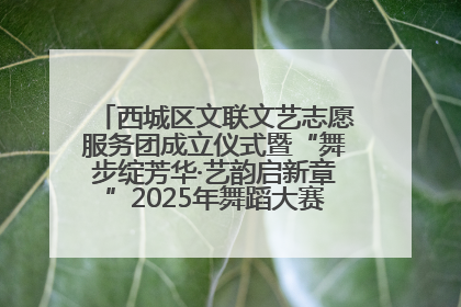西城区文联文艺志愿服务团成立仪式暨“舞步绽芳华·艺韵启新章”2025年舞蹈大赛展演圆满举办