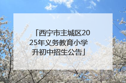 西宁市主城区2025年义务教育小学升初中招生公告