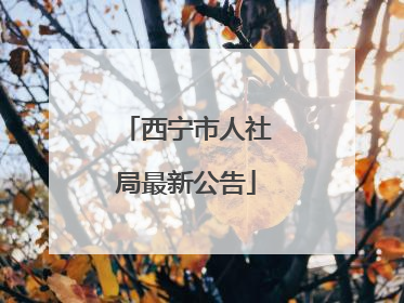 西宁市人社局最新公告