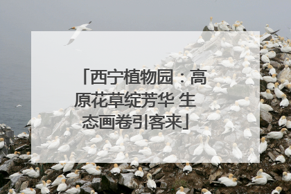 西宁植物园：高原花草绽芳华 生态画卷引客来