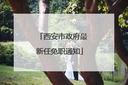 西安市政府最新任免职通知