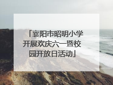 襄阳市昭明小学开展欢庆六一暨校园开放日活动