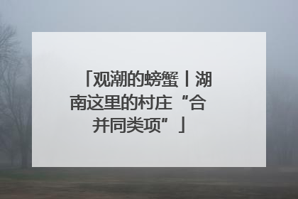 观潮的螃蟹丨湖南这里的村庄“合并同类项”