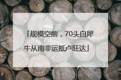 规模空前，70头白犀牛从南非运抵卢旺达