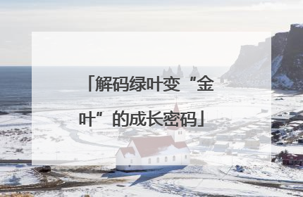 解码绿叶变“金叶”的成长密码