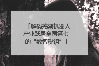 解码芜湖机器人产业跃居全国第七的“数智税钥”