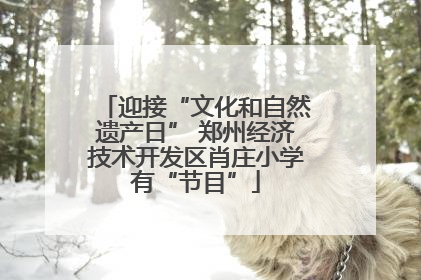 迎接“文化和自然遗产日” 郑州经济技术开发区肖庄小学有“节目”