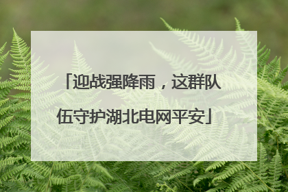 迎战强降雨，这群队伍守护湖北电网平安