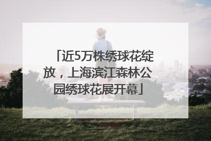 近5万株绣球花绽放，上海滨江森林公园绣球花展开幕