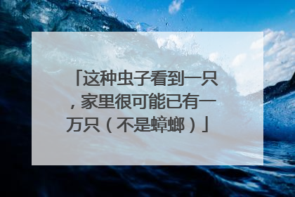 这种虫子看到一只，家里很可能已有一万只（不是蟑螂）