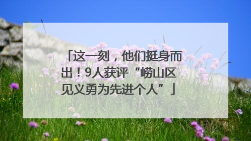 这一刻，他们挺身而出！9人获评“崂山区见义勇为先进个人”