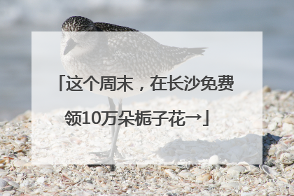 这个周末，在长沙免费领10万朵栀子花→