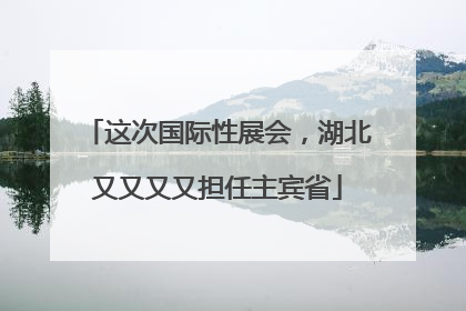 这次国际性展会，湖北又又又又担任主宾省