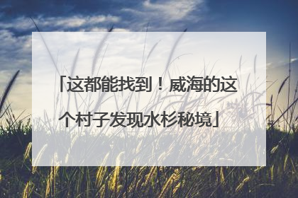 这都能找到！威海的这个村子发现水杉秘境