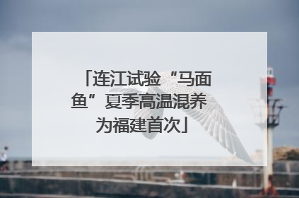 连江试验“马面鱼”夏季高温混养 为福建首次