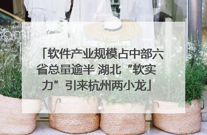 软件产业规模占中部六省总量逾半 湖北“软实力”引来杭州两小龙
