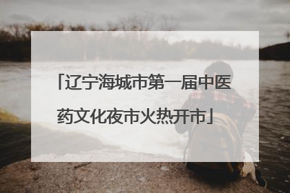 辽宁海城市第一届中医药文化夜市火热开市