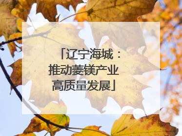 辽宁海城：推动菱镁产业高质量发展