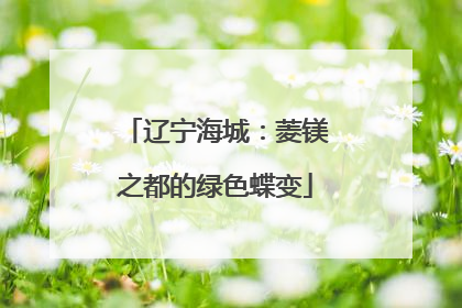 辽宁海城：菱镁之都的绿色蝶变