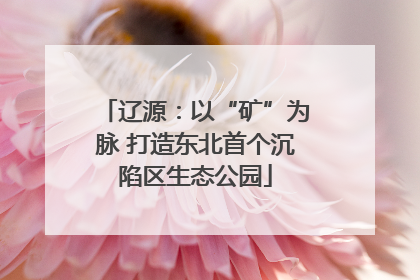 辽源：以“矿”为脉 打造东北首个沉陷区生态公园