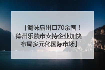 调味品出口70余国！德州乐陵市支持企业加快布局多元化国际市场