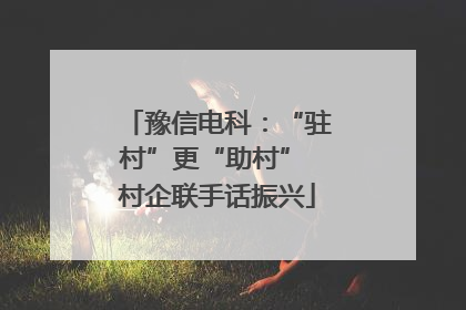 豫信电科：“驻村”更“助村” 村企联手话振兴