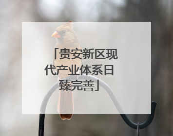 贵安新区现代产业体系日臻完善