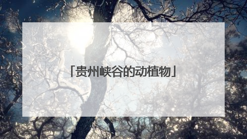 贵州峡谷的动植物