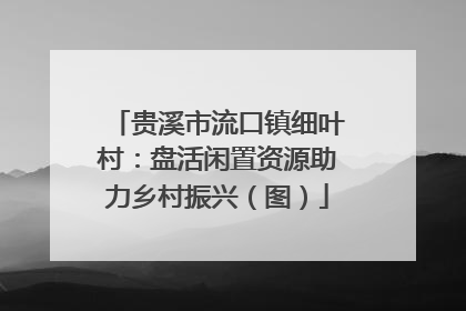 贵溪市流口镇细叶村：盘活闲置资源助力乡村振兴（图）