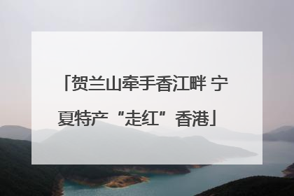 贺兰山牵手香江畔 宁夏特产“走红”香港