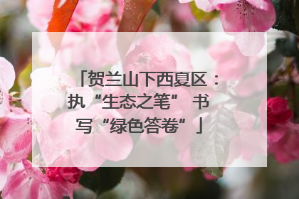 贺兰山下西夏区：执“生态之笔” 书写“绿色答卷”