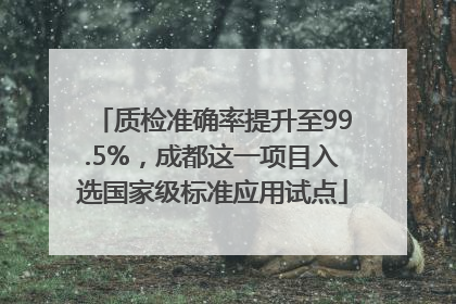 质检准确率提升至99.5%，成都这一项目入选国家级标准应用试点