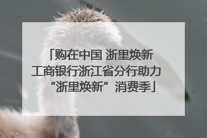 购在中国 浙里焕新 工商银行浙江省分行助力“浙里焕新”消费季