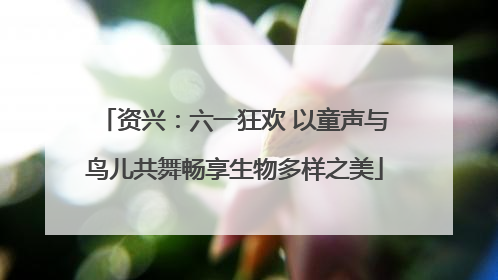 资兴：六一狂欢 以童声与鸟儿共舞畅享生物多样之美