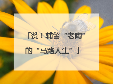 赞！辅警“老陶”的“马路人生”