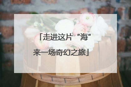 走进这片“海”来一场奇幻之旅