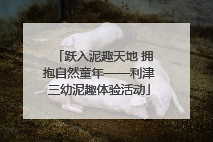 跃入泥趣天地 拥抱自然童年——利津三幼泥趣体验活动