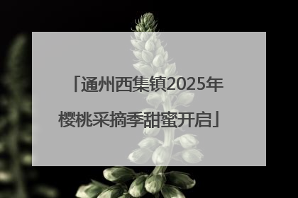 通州西集镇2025年樱桃采摘季甜蜜开启