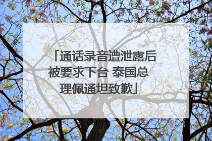 通话录音遭泄露后被要求下台 泰国总理佩通坦致歉