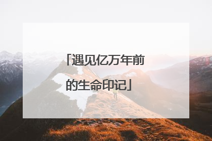 遇见亿万年前的生命印记