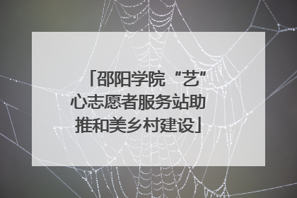 邵阳学院“艺”心志愿者服务站助推和美乡村建设