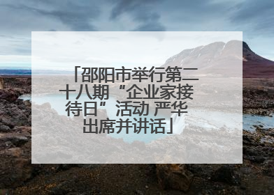 邵阳市举行第二十八期“企业家接待日”活动 严华出席并讲话