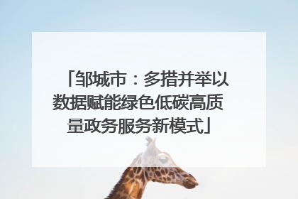 邹城市：多措并举以数据赋能绿色低碳高质量政务服务新模式